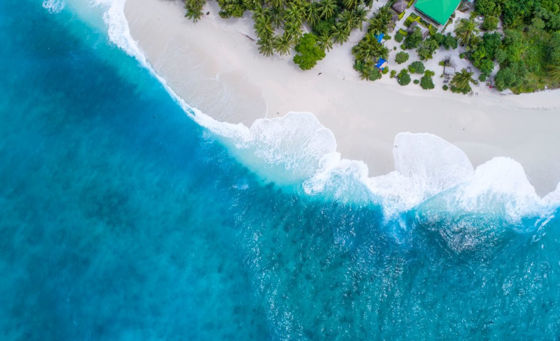 bird's eye-view photography beach