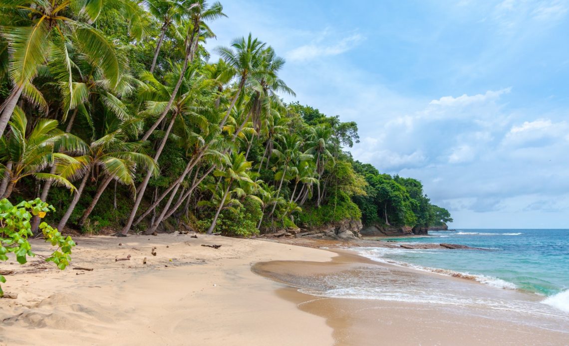 landscape photography of seashore under cumulus clouds